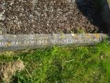 image of grave number 313117